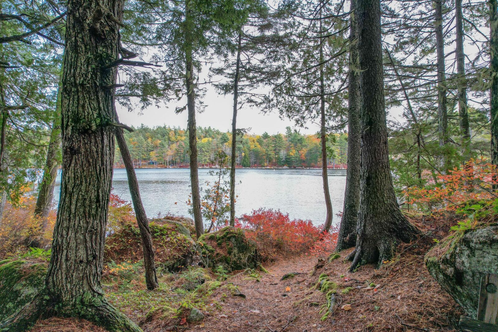 Property Photo: 155 Long Point Way ME 04472