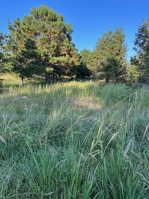 Property Photo:  000 Cary Lane  GA 30673 