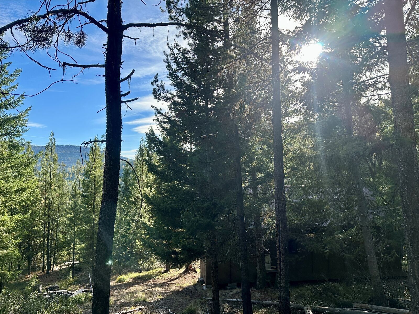 Property Photo:  Nhn Mill Creek Road  MT 59834