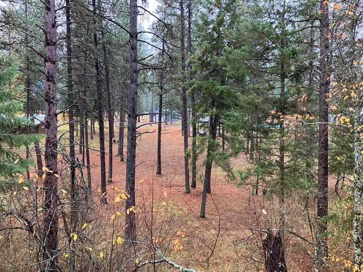 Property Photo:  163 Warren Road  MT 59923 