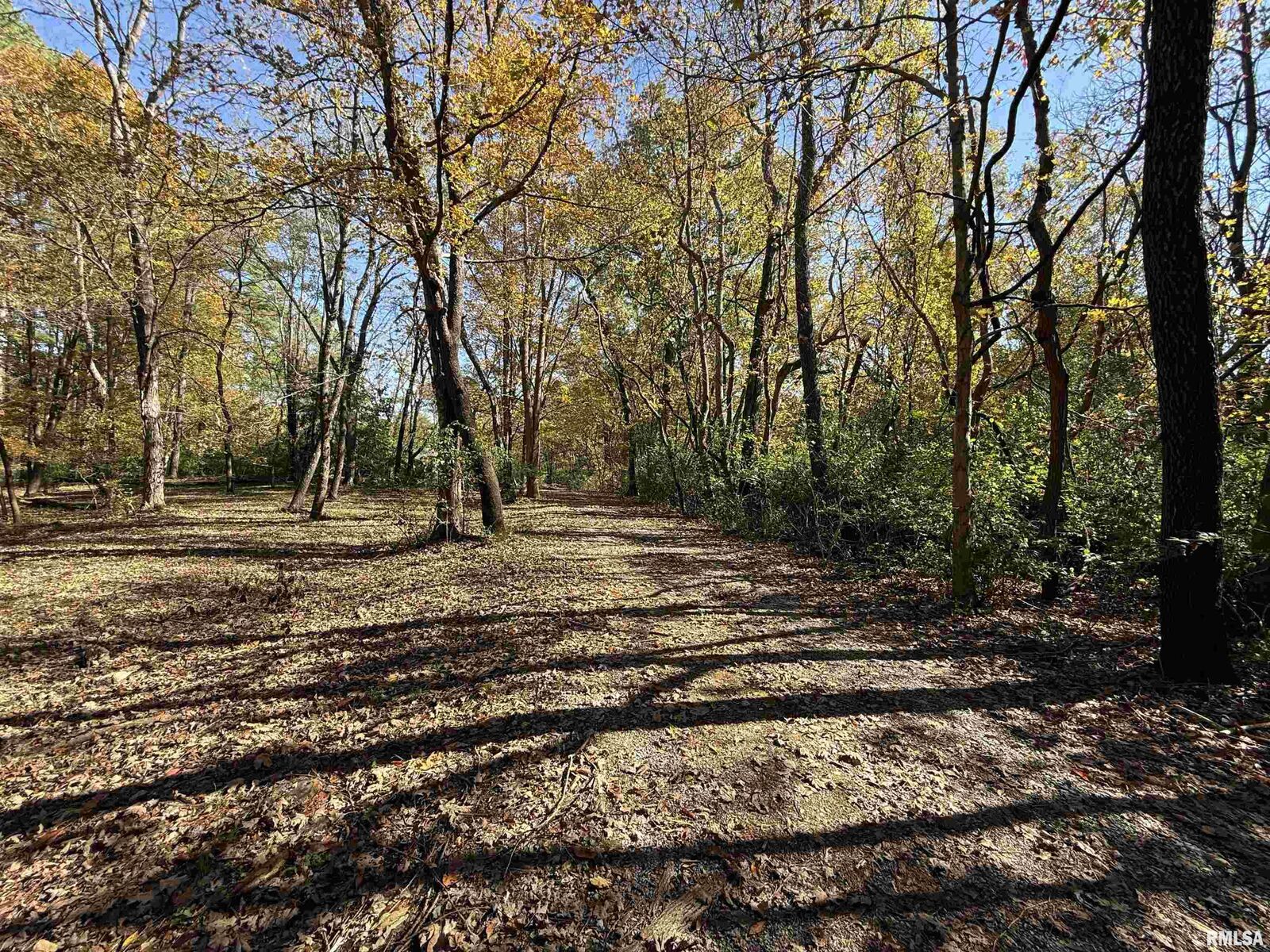 Property Photo:  449 Pine Lane  IL 62966 