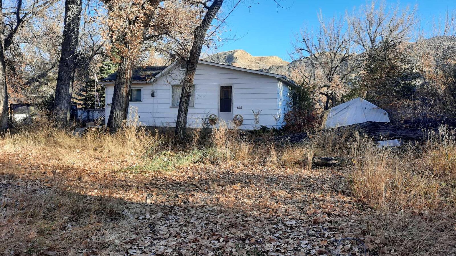 Property Photo:  155 7 Street  AB T0J 1B0