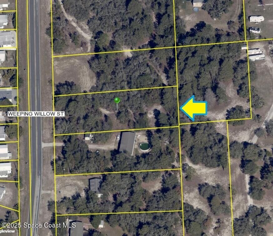 Property Photo:  0 Weeping Willow Street  FL 34613