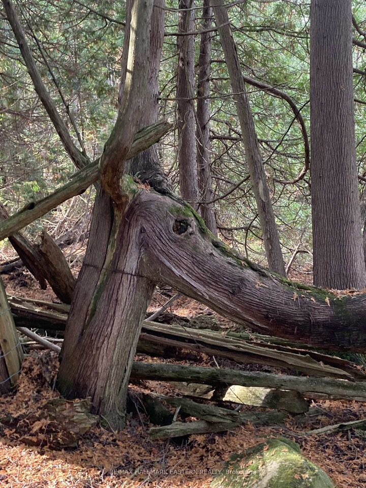 Property Photo:  323 Orange Corners Road  ON K0L 2W0 