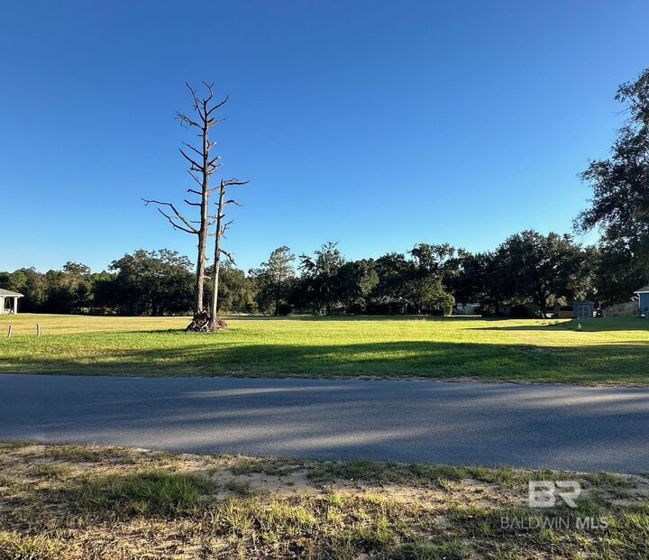 Property Photo:  0 Sparrow Road  AL 36532