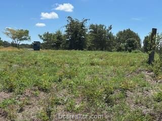Property Photo: Tbd County Road 185 County Road TX 77830