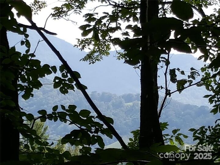 Property Photo:  62 Turkey Hollow Court  NC 28785