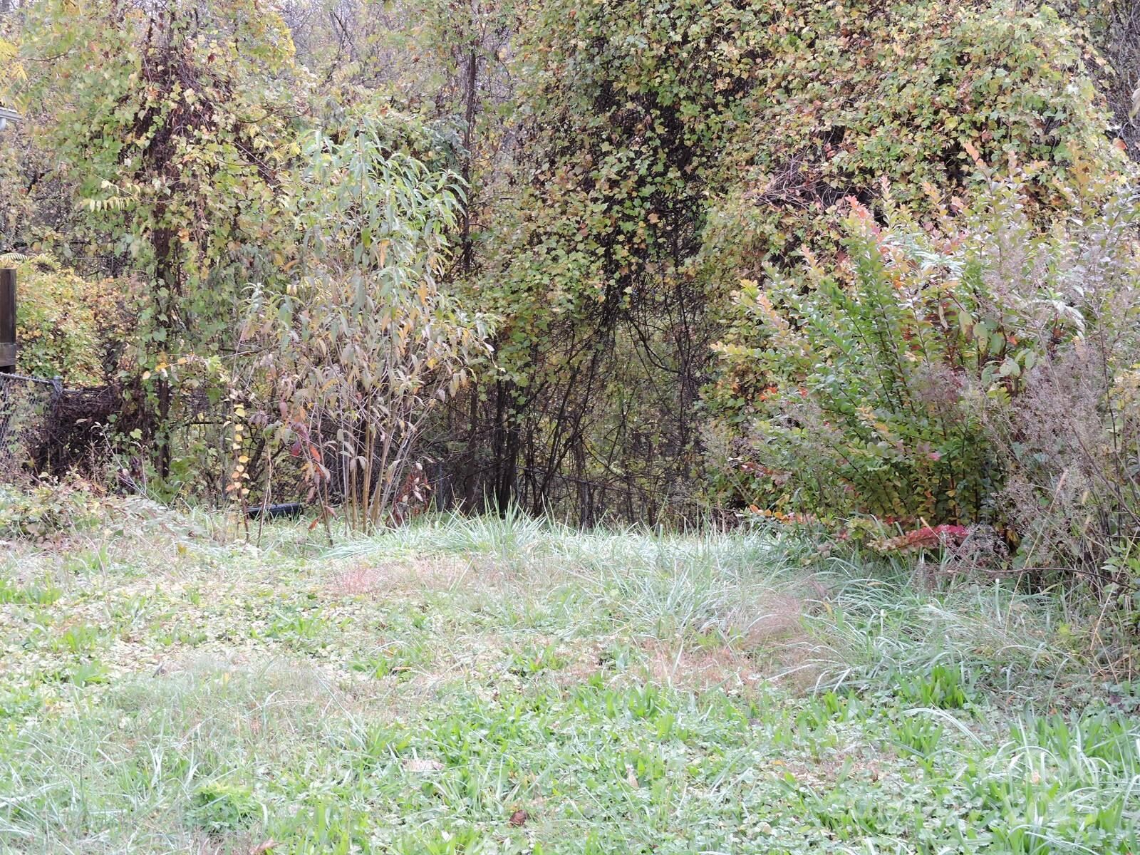 Property Photo:  43 Argyle Lane  NC 28806