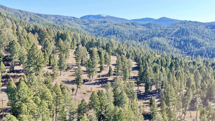 Property Photo:  Lot 5 Scranton Lode  MT 59858 