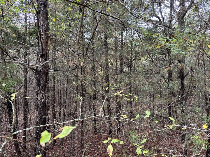 Property Photo:  3 Countryside Drive  TN 37327