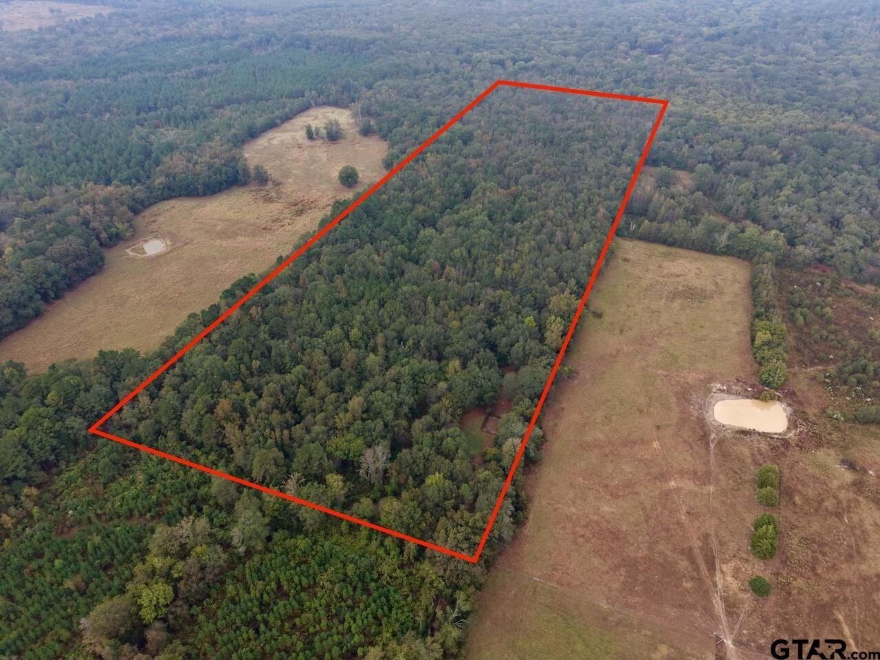 Property Photo:  339 County Road 3966  TX 75773 