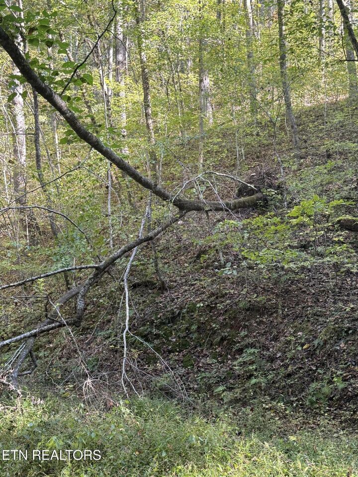 Property Photo:  251 Mine Hollow Rd  TN 37369 