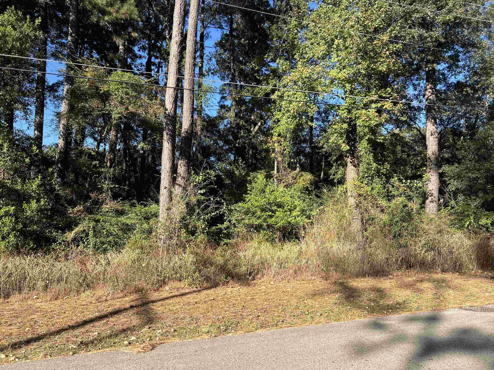 Property Photo:  1009 Millie St  TX 75602 