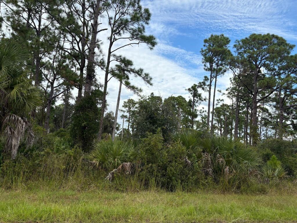 Property Photo:  13458 Fairbanks Avenue  FL 33953 