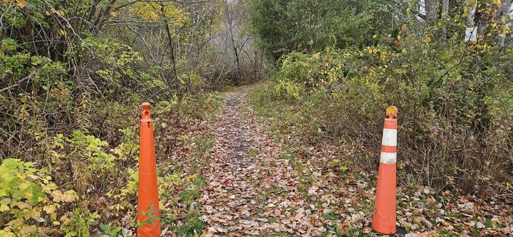 Property Photo: 4 Surfore Road ME 03909