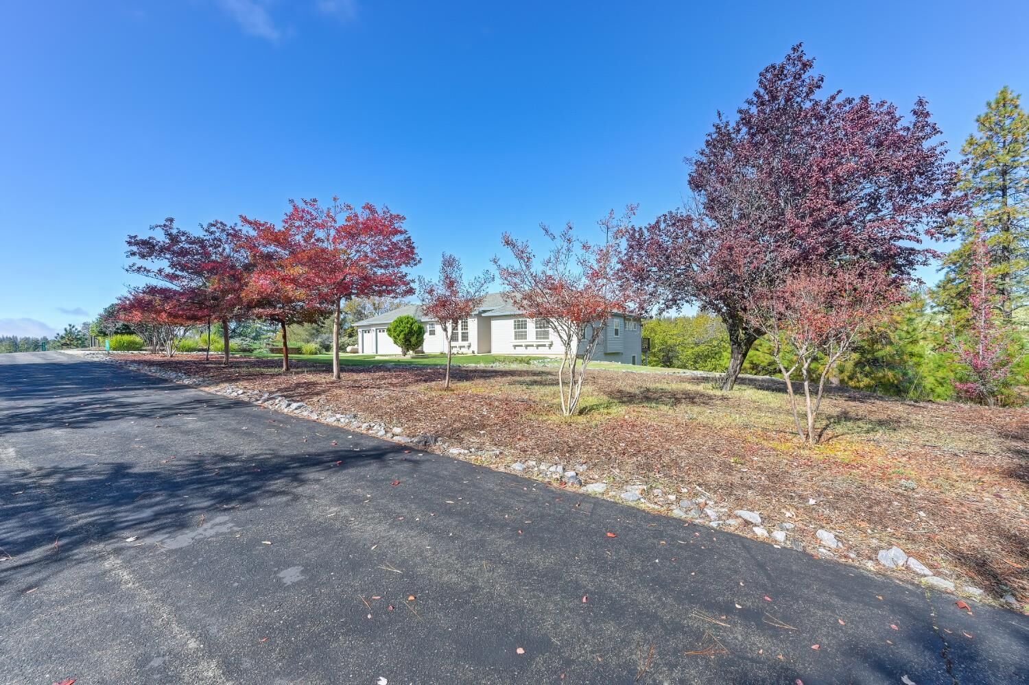 Property Photo: 19740 Wedemeyer Place CA 95713