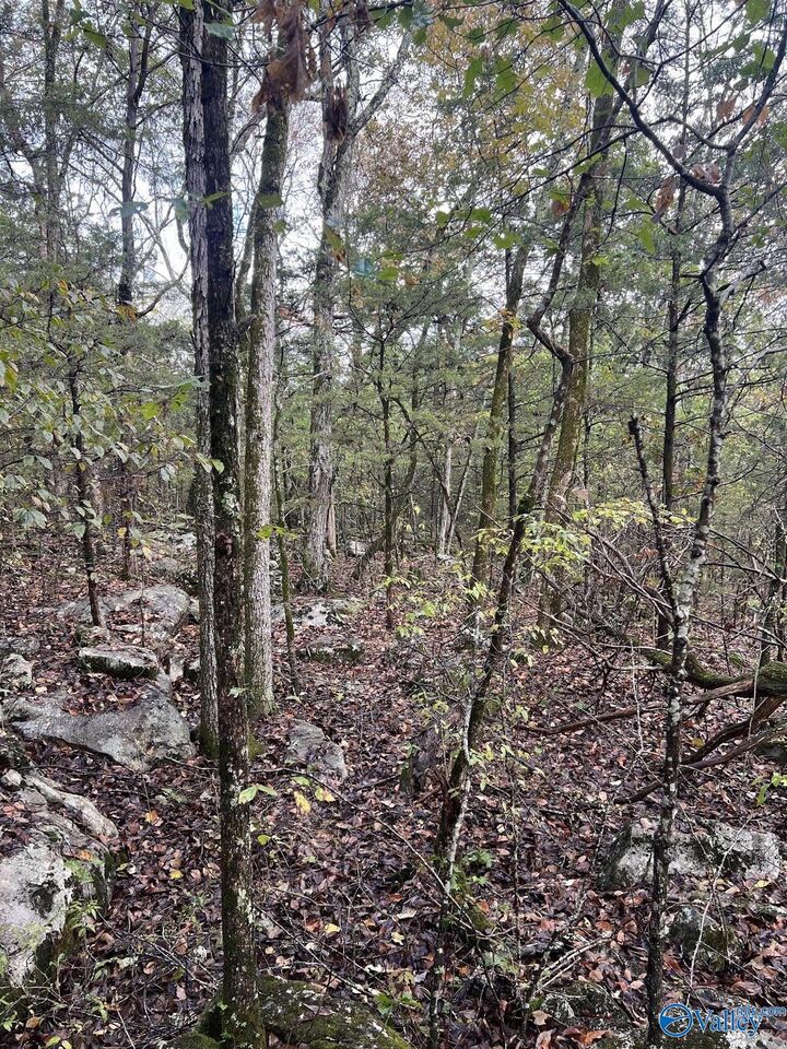 Property Photo:  450 North Cedar Cove  AL 35640