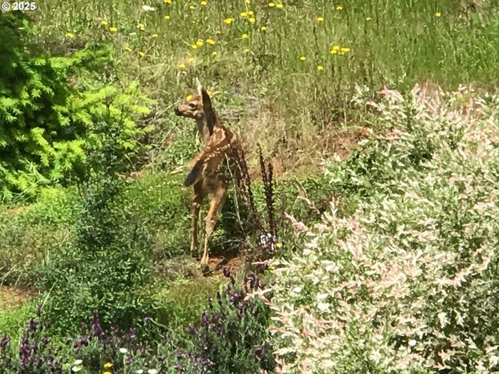 Property Photo:  7465 Kings Valley Hwy  OR 97361