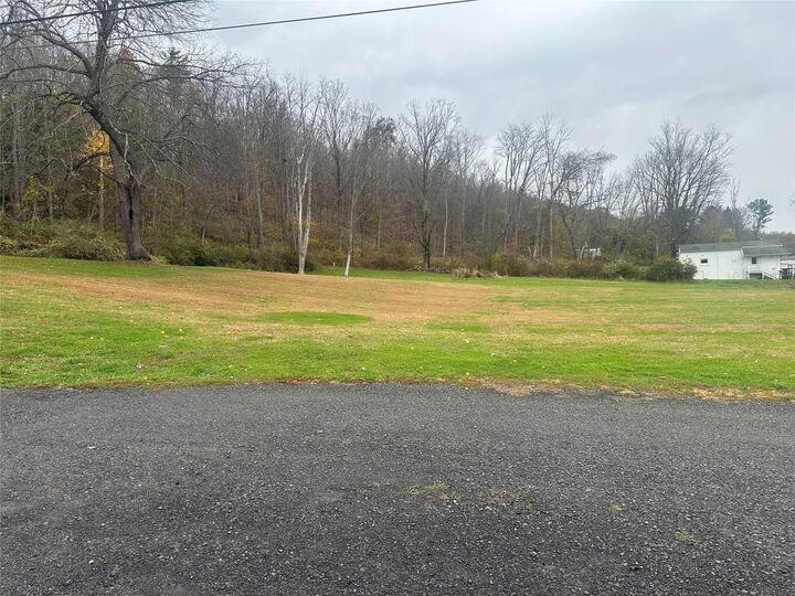 Property Photo:  0 Main Street E  NY 13827 