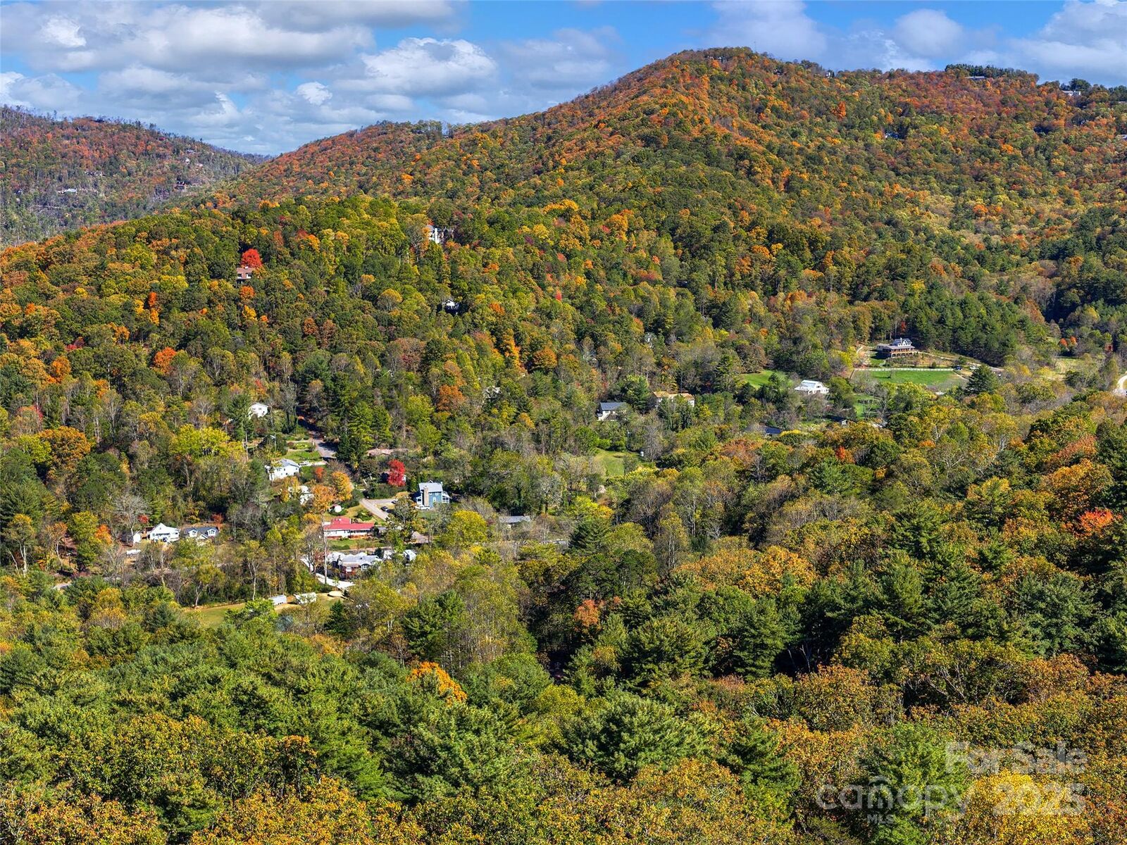 Property Photo:  51 Rice Branch Road  NC 28804