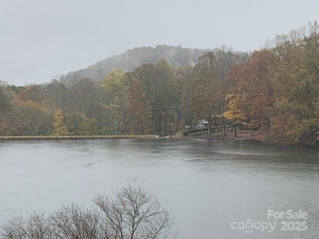 Property Photo:  Lot 149 Willow Bend 149  NC 28792