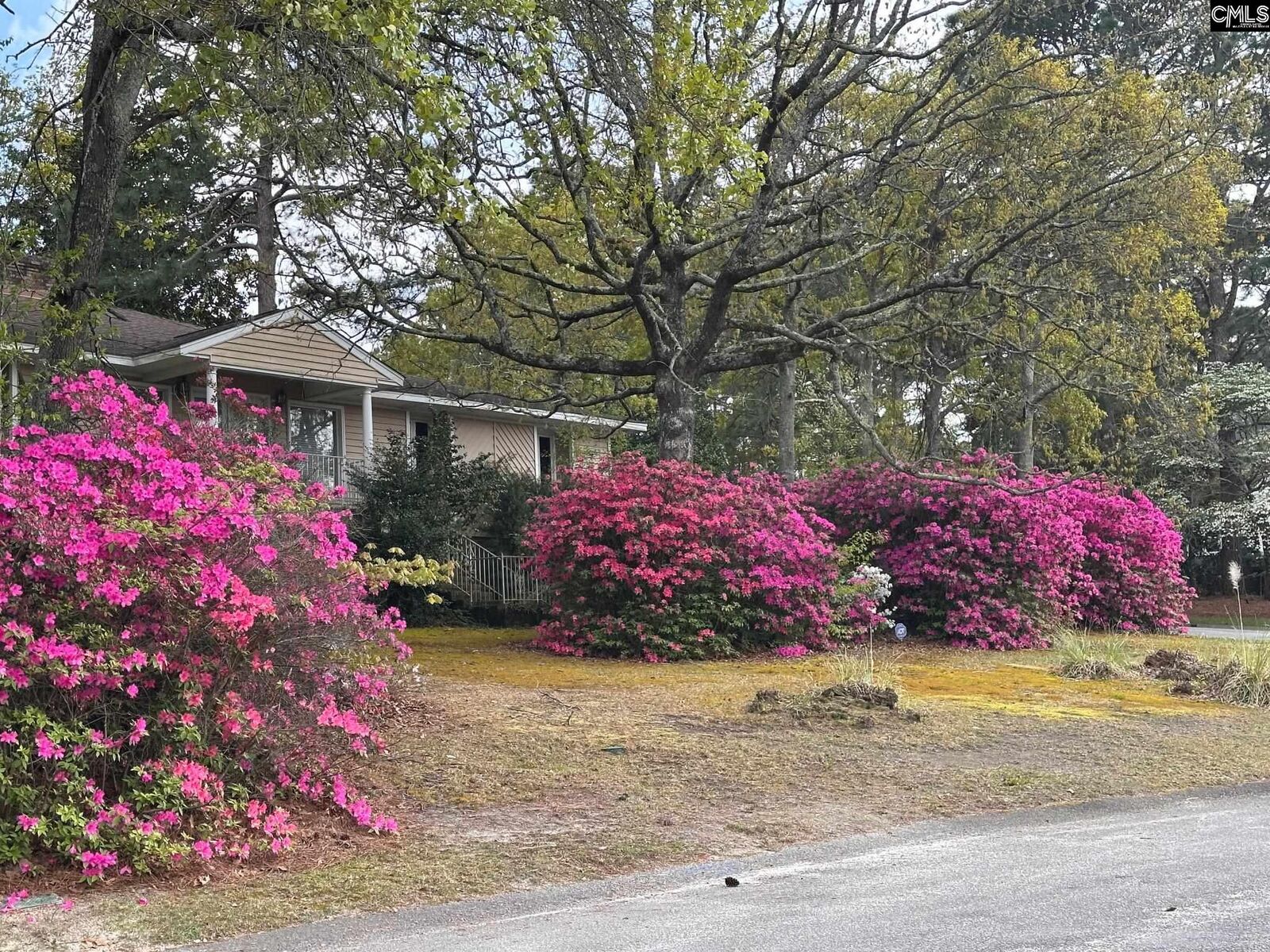 Property Photo: 27 Foxhill SC 29223