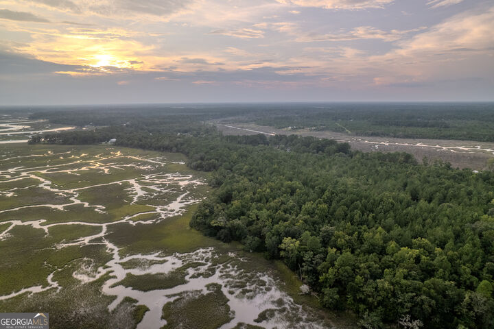 Property Photo:  0 Sheffield Island Road 7  GA 31569 