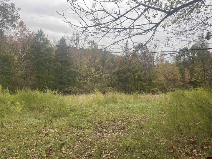 Property Photo: 618 Driftwood Drive AR 72566