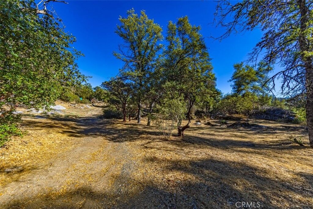 Property Photo:  4200 Silver Lane Road  CA 95338 