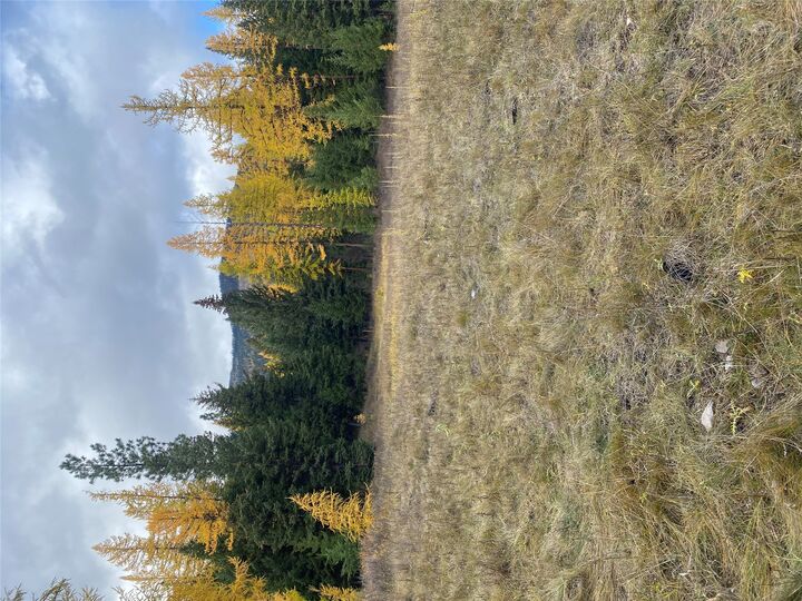 Property Photo: 301 Haskill Ranch Road MT 59920