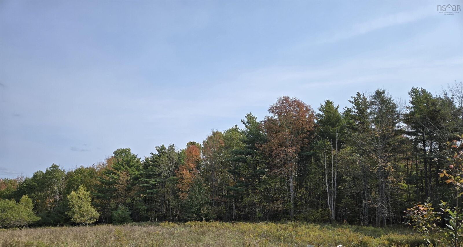 Property Photo:  Lot 1A Lower Branch Road  NS B4V 4M1 