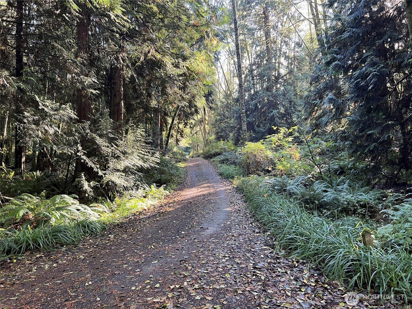 Property Photo: 5249 Fallen Leaf Ln WA 98260