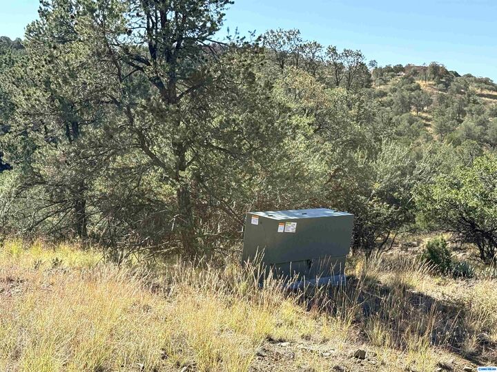 Property Photo: 3 Lots N Swan Street Lots 72, 73, 74 NM 88061