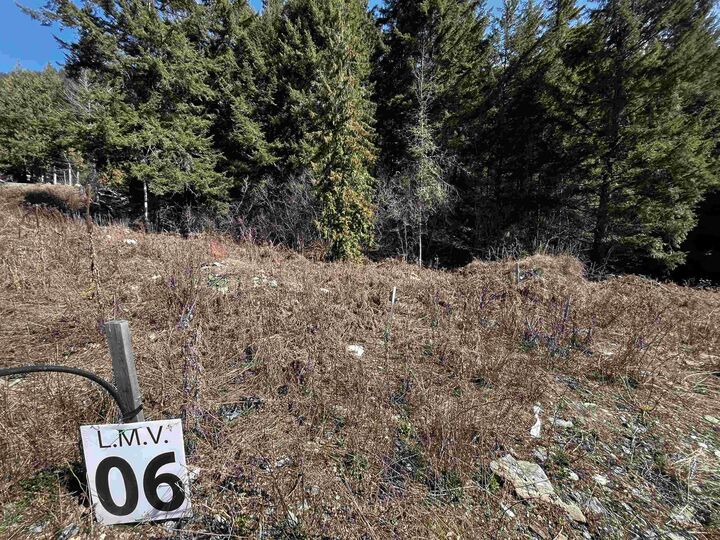 Property Photo: Lmv6 Old Hope Princeton Highway BC V0X 1L5