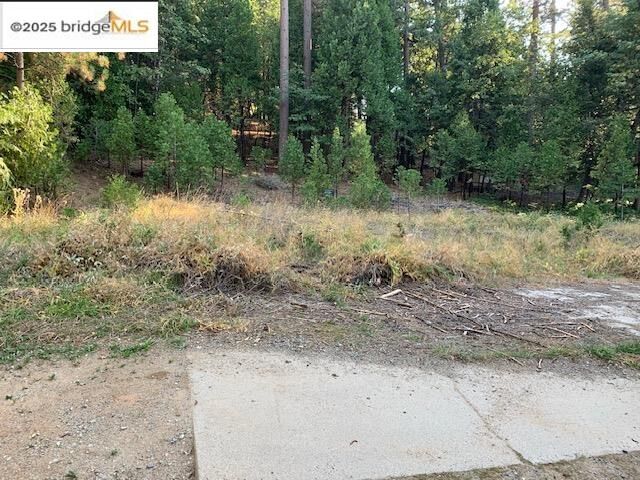 Property Photo:  22975 Twain Harte Dr  CA 95383 