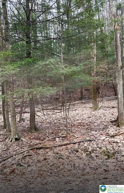 Property Photo: 153 Pine Tree Drive PA 18326