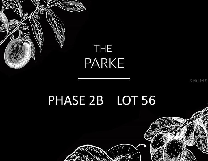 5578 SW 125th Circle  Archer FL 32618 photo