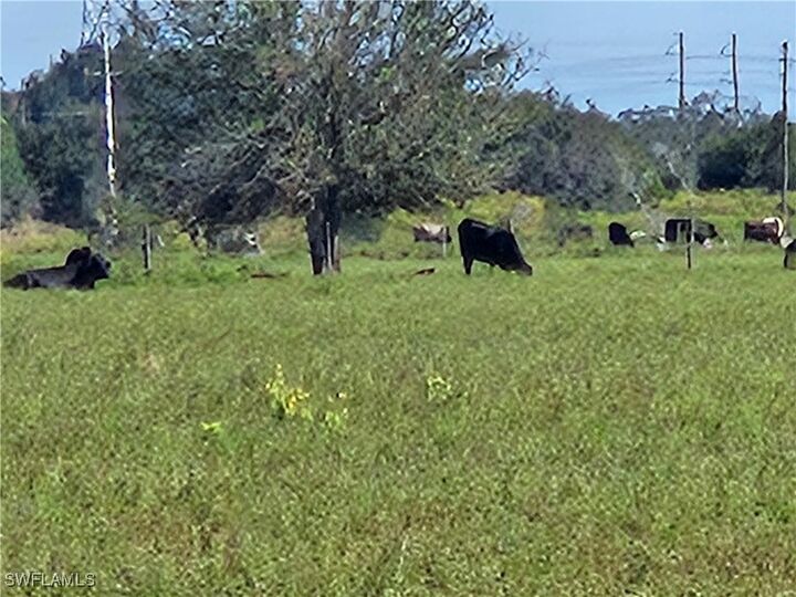 Property Photo: SE Co Rd 763 SE Co Rd 763 Road SE FL 34266