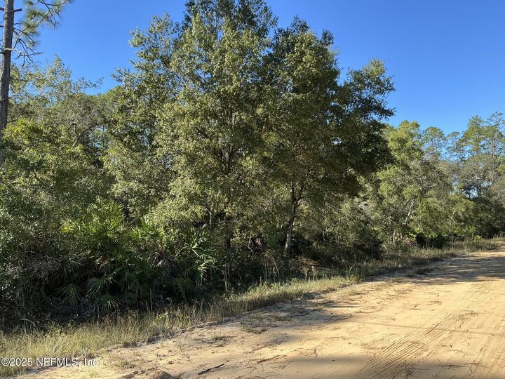 Property Photo:  205 Dunaway Street  FL 32148 