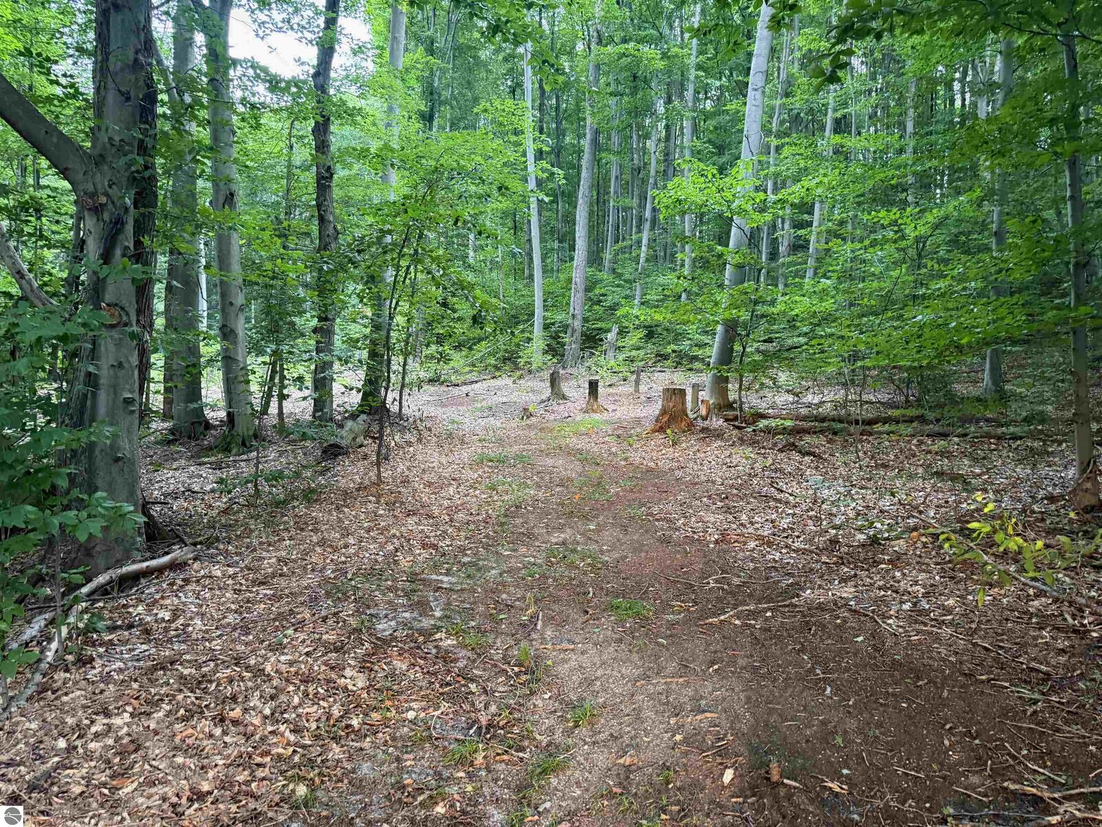Property Photo:  00000 S Bridle Trail  MI 49630