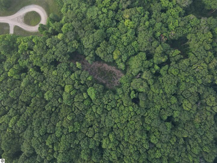 00000 S Bridle Trail  Empire MI 49630 photo