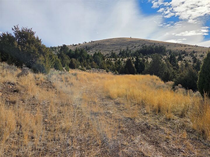 Property Photo: Tract 1C-2 Meagher Trail MT 59755