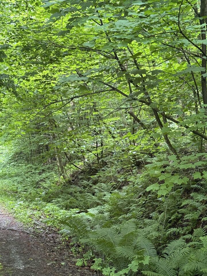 Property Photo: 680 Deming Road VT 05450