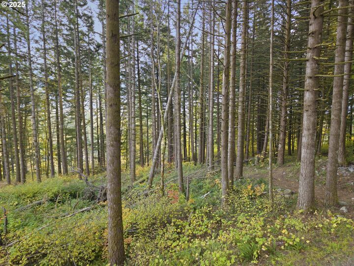 Property Photo: Warren Rd 4 WA 98639