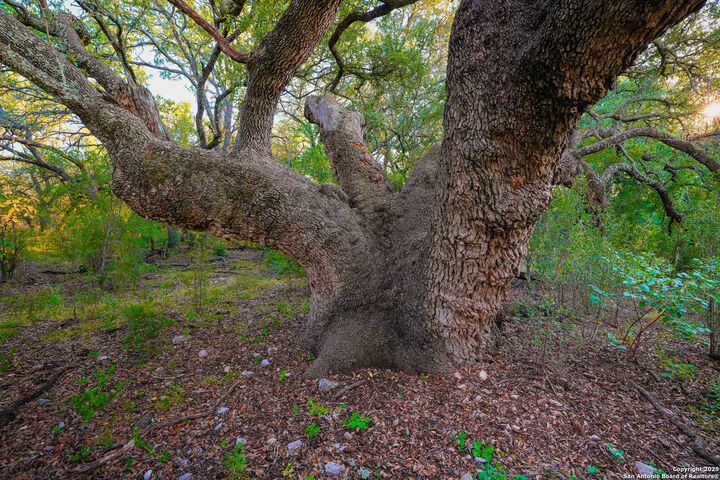 Property Photo: 1134 Sd # 45400 TX 78880