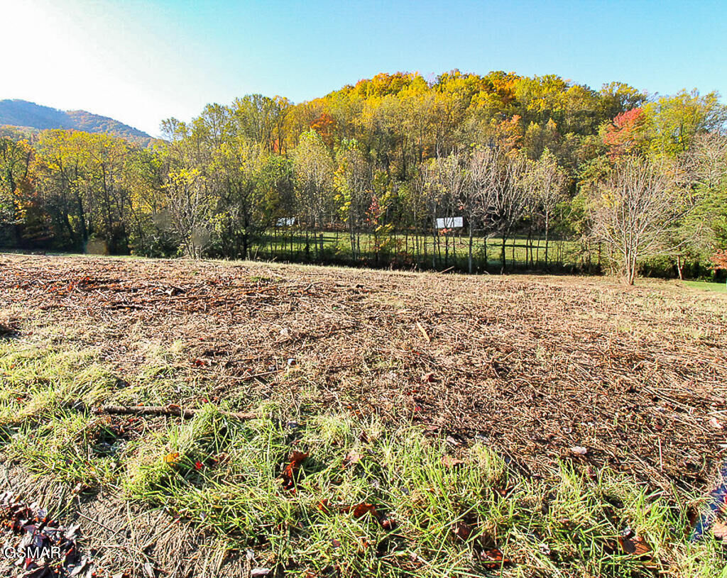 Property Photo: Lot 8 Thomas Headrick Road TN 37862