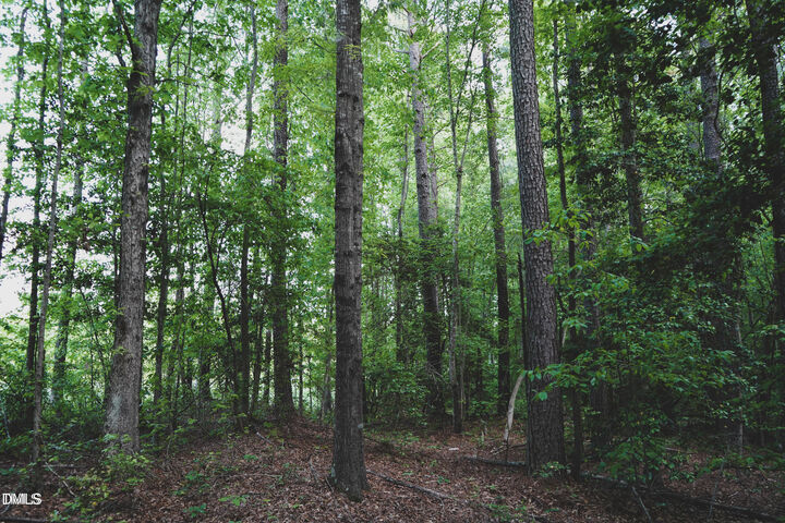 Property Photo: Lot 3 Arthur Wilder Road NC 27882