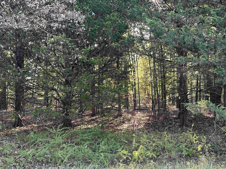 Property Photo: 001 Hand Cove Road AR 72531