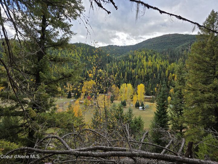 Property Photo:  10755 Old River Rd  ID 83839 