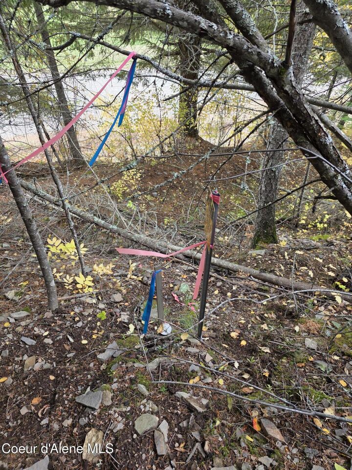 Property Photo: 10755 Old River Rd ID 83839